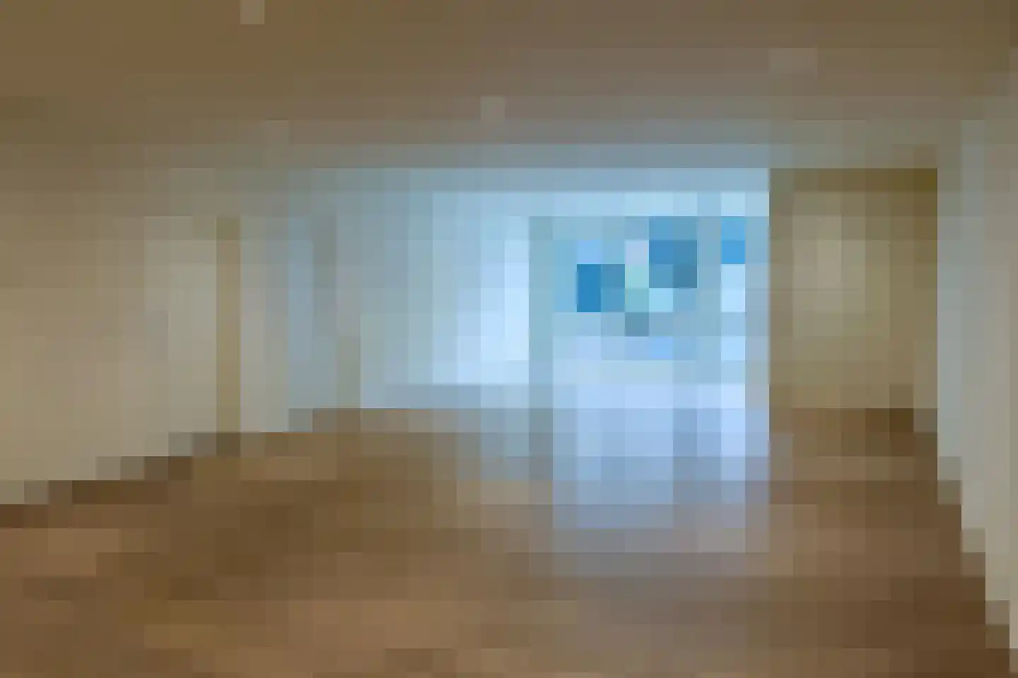Gelrestraat 6 Echt thumbnail 8