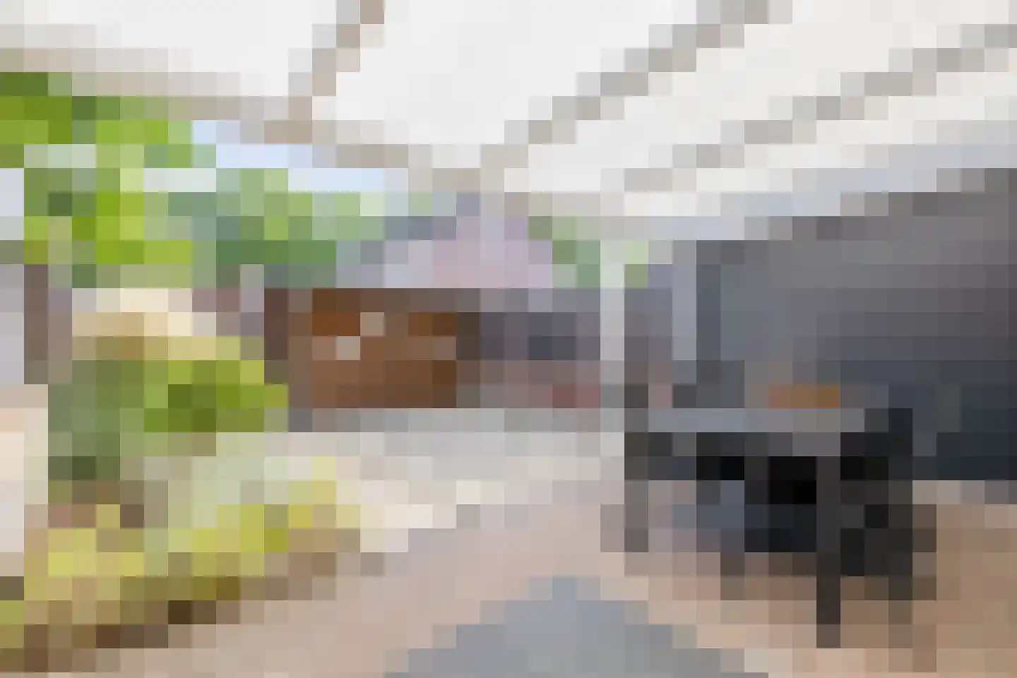 Gelrestraat 8 Belfeld thumbnail 16