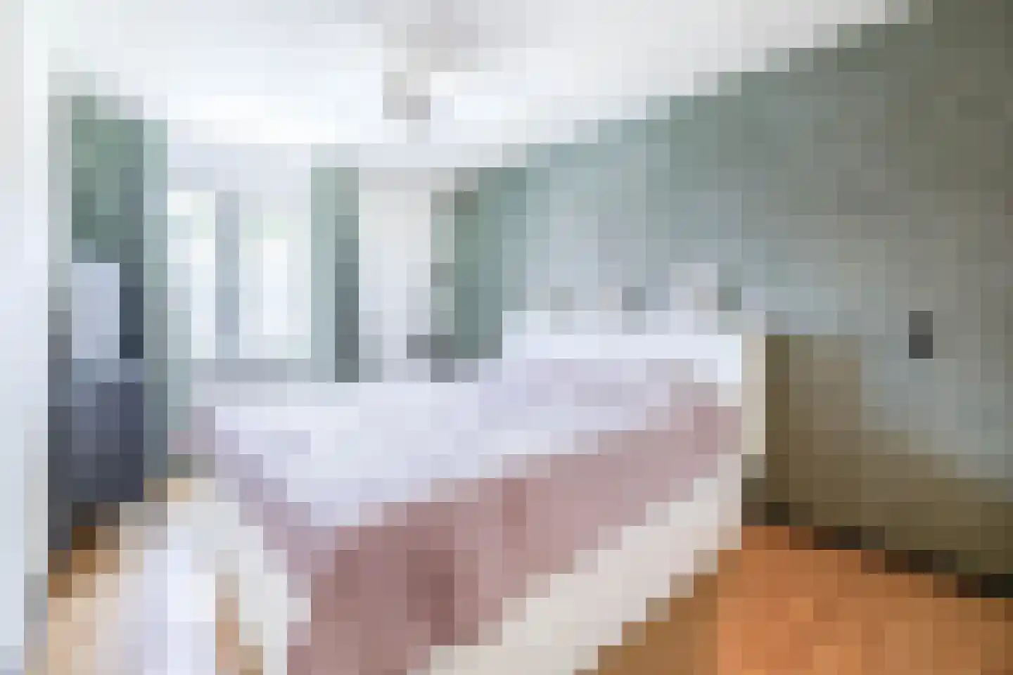 Gelrestraat 8 Belfeld thumbnail 23