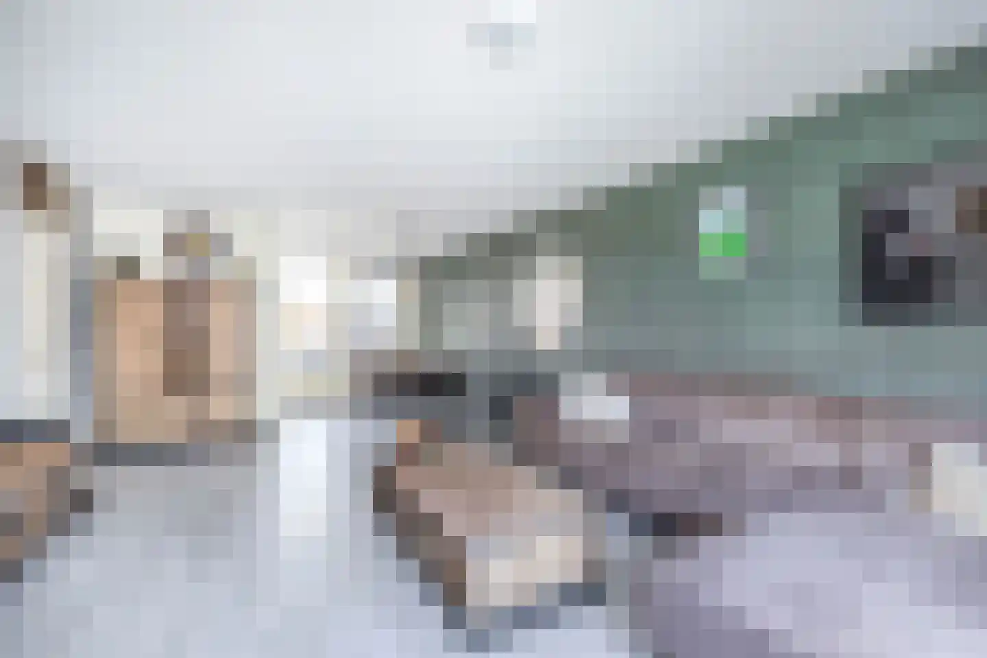 Gelrestraat 8 Belfeld thumbnail 8