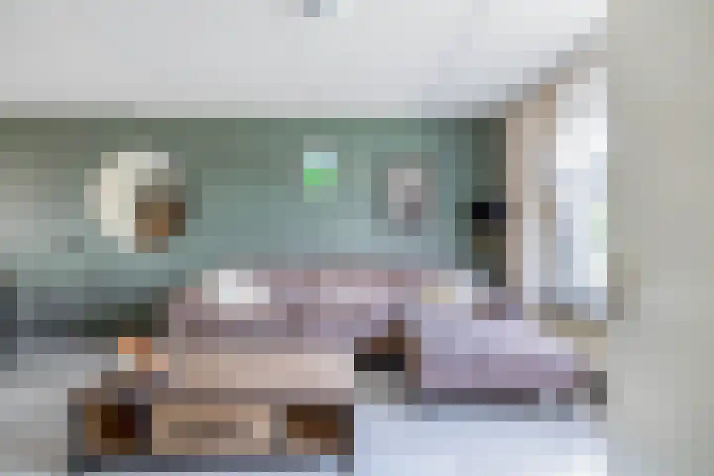 Gelrestraat 8 Belfeld thumbnail 9