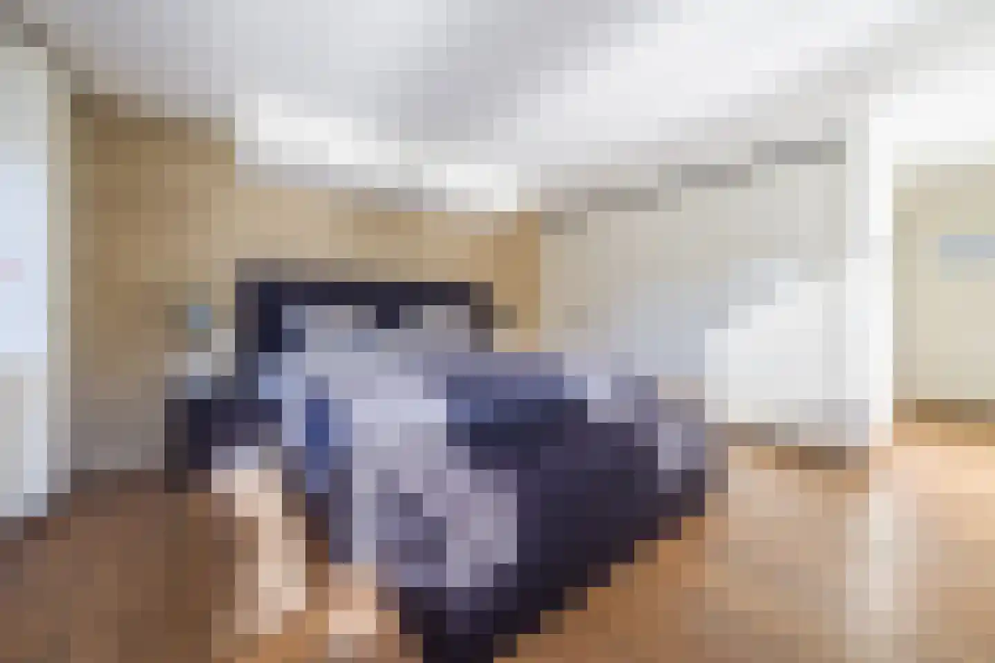 Gelrestraat 8 Mook thumbnail 16
