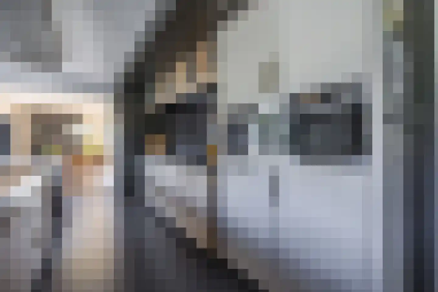 Gelrestraat 8 Mook thumbnail 21