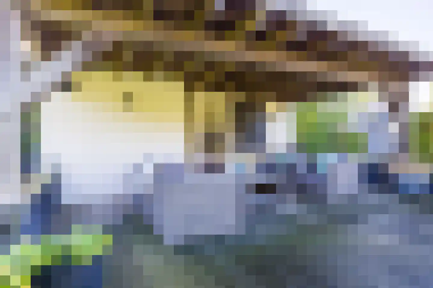 Gelrestraat 8 Mook thumbnail 87