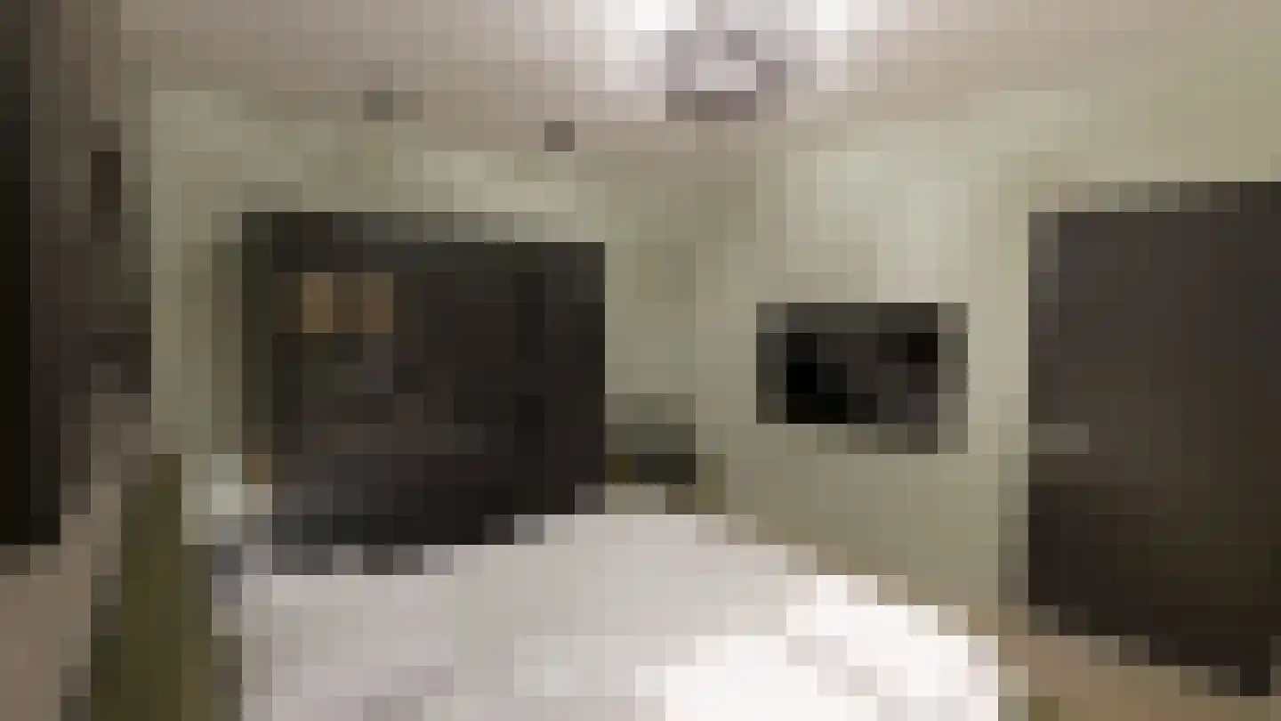 Gelrestraat 9 Echt thumbnail 10