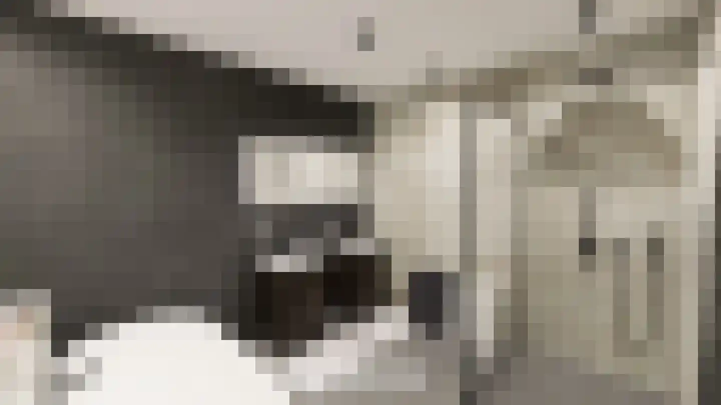 Gelrestraat 9 Echt thumbnail 11