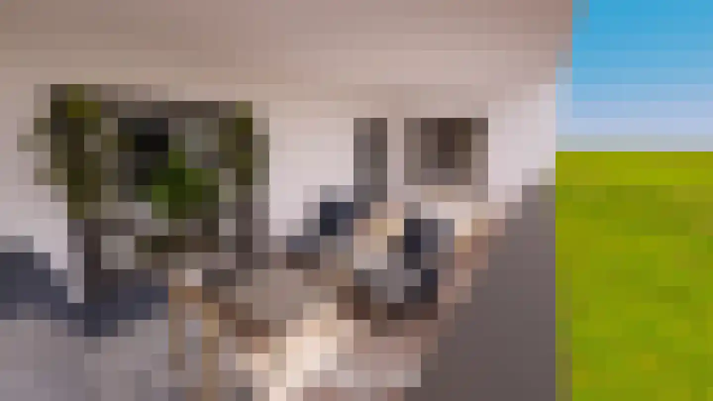 Gelrestraat 9 Echt thumbnail 16