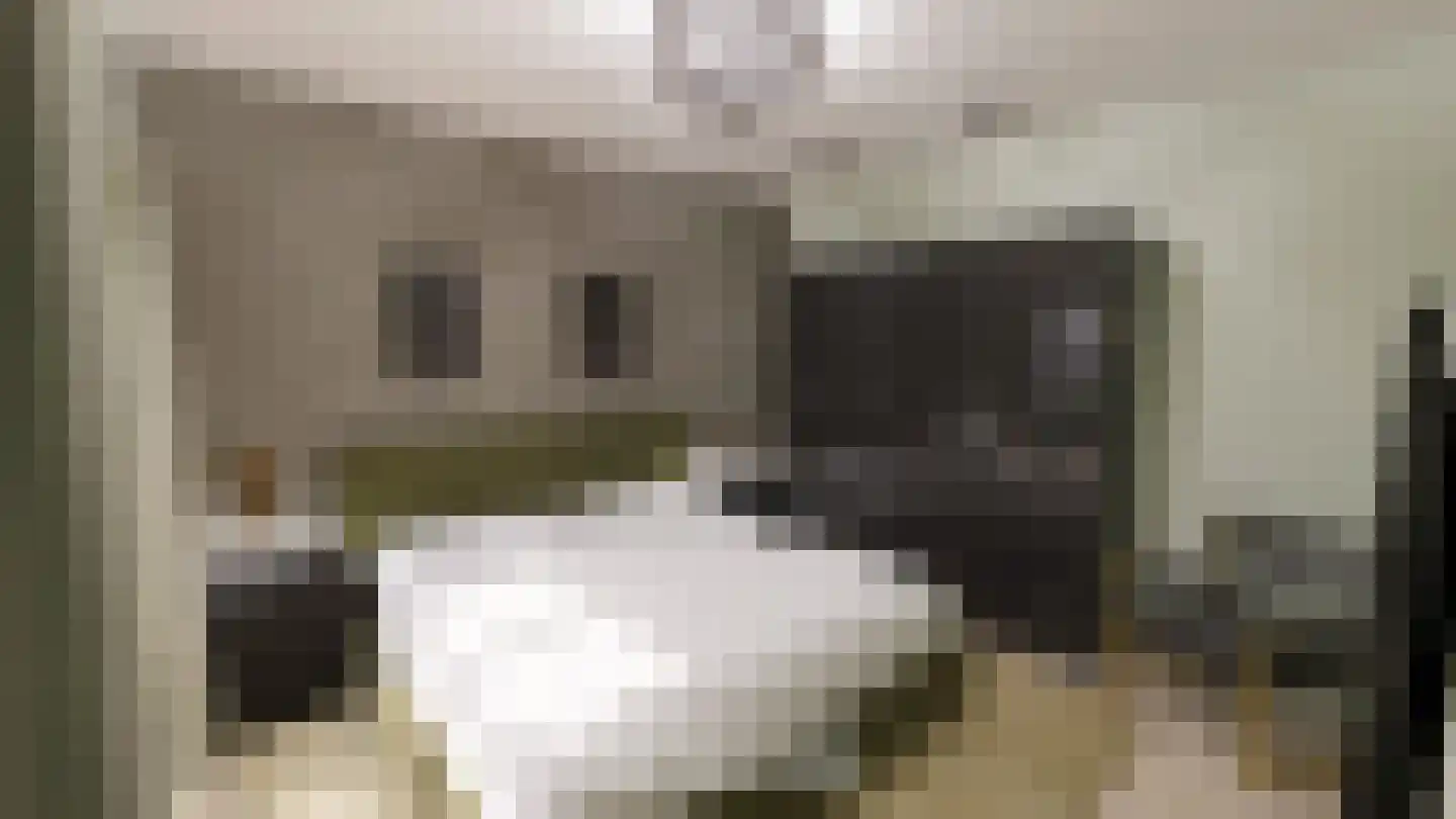 Gelrestraat 9 Echt thumbnail 9