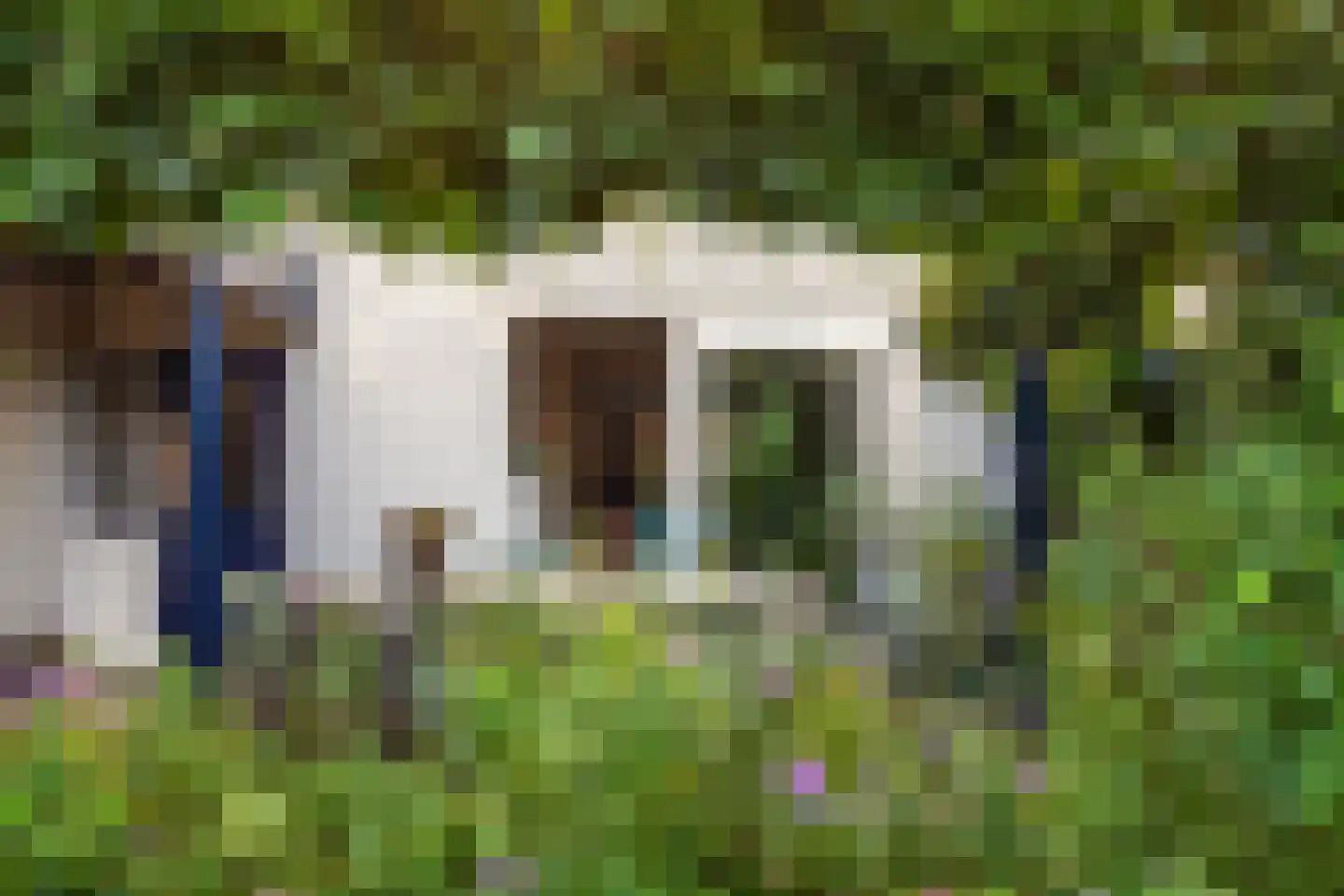 Gelreweg 49 A Ermelo thumbnail 48