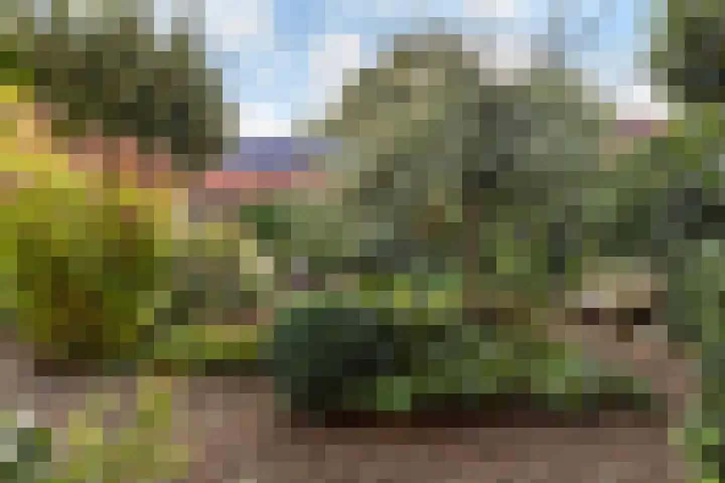 Gelreweg 49 A Ermelo thumbnail 58