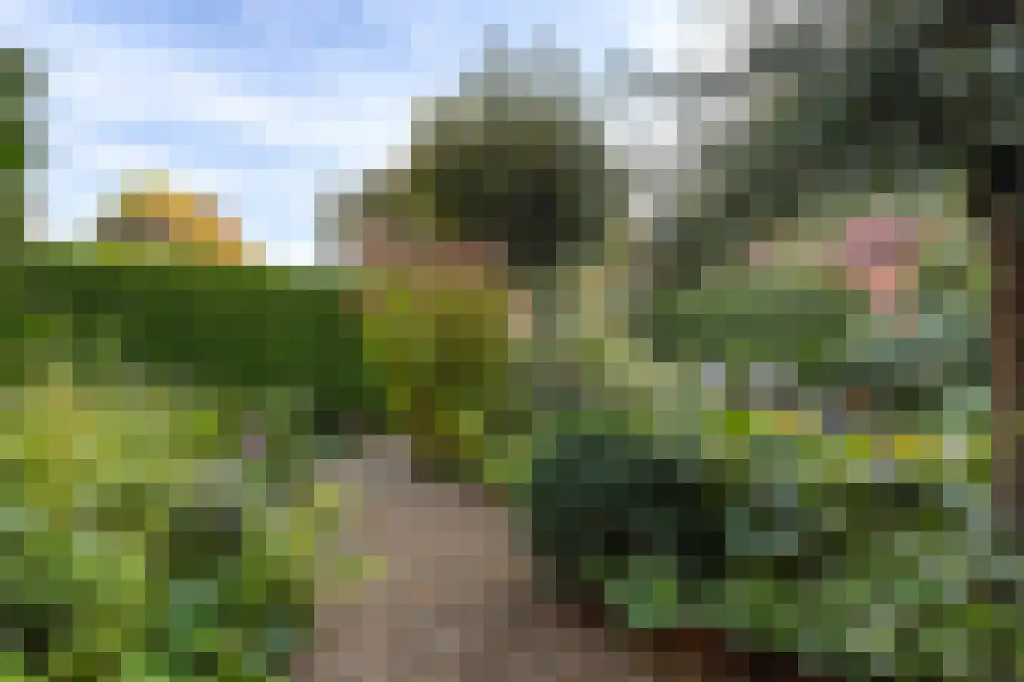 Gelreweg 49 A Ermelo thumbnail 59