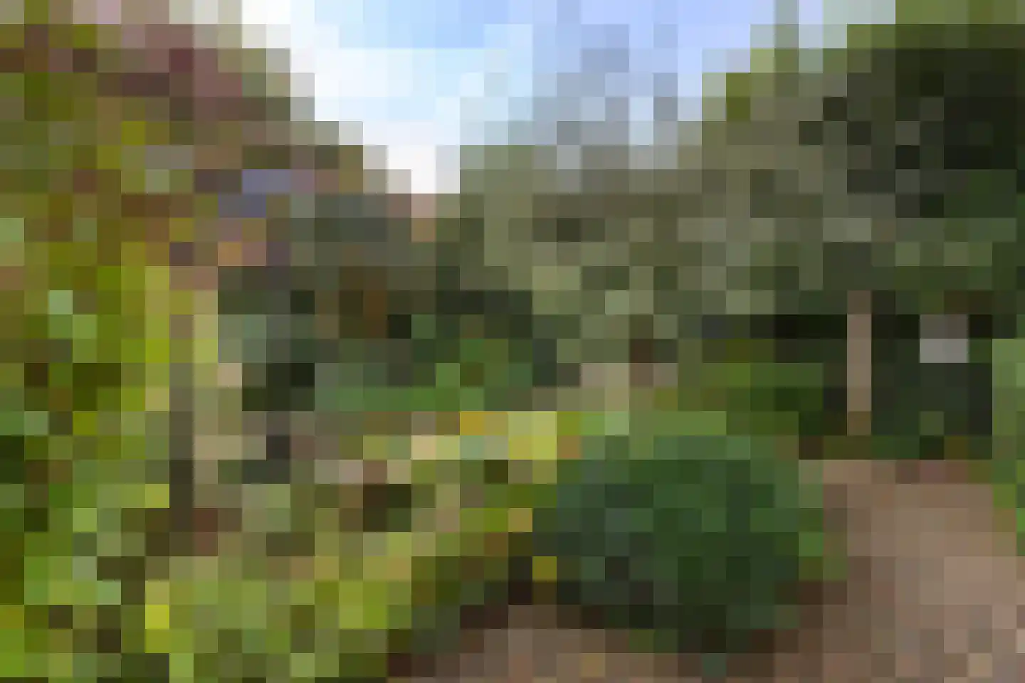 Gelreweg 49 A Ermelo thumbnail 60