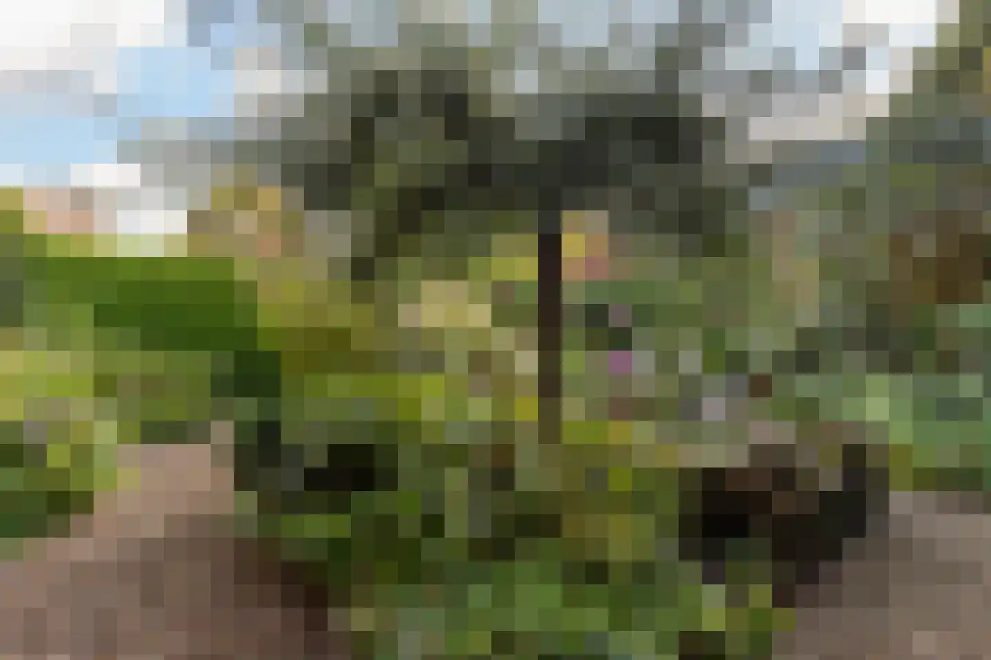 Gelreweg 49 A Ermelo thumbnail 62