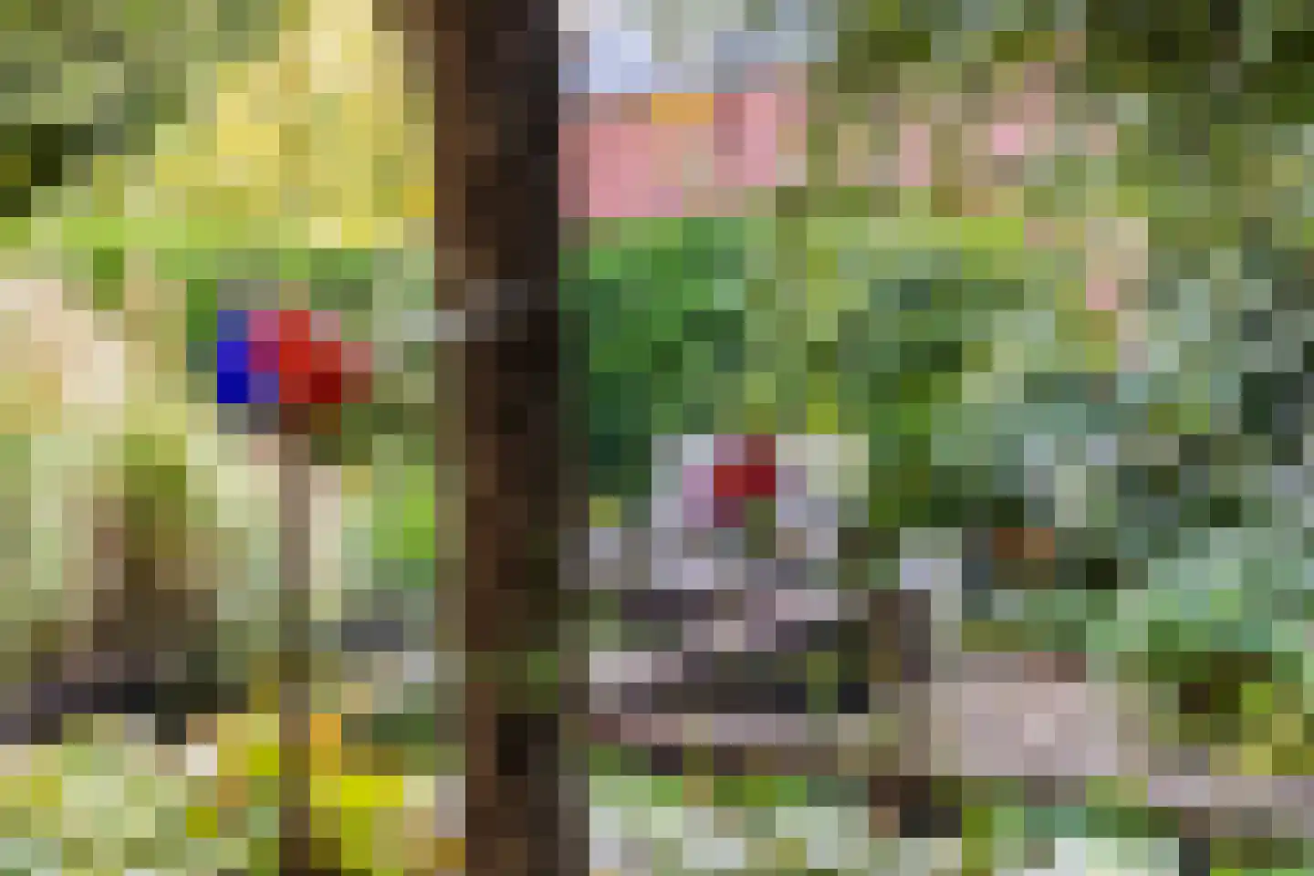 Gelreweg 49 A Ermelo thumbnail 63