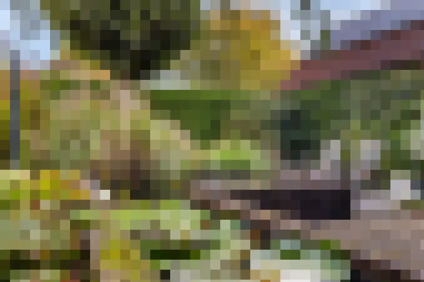 Gelreweg 49 A Ermelo thumbnail 64
