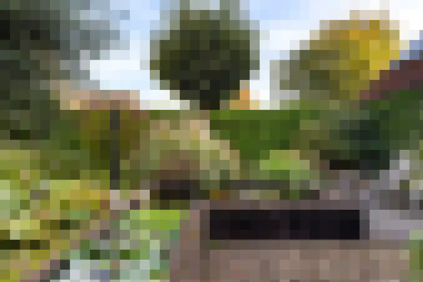 Gelreweg 49 A Ermelo thumbnail 65
