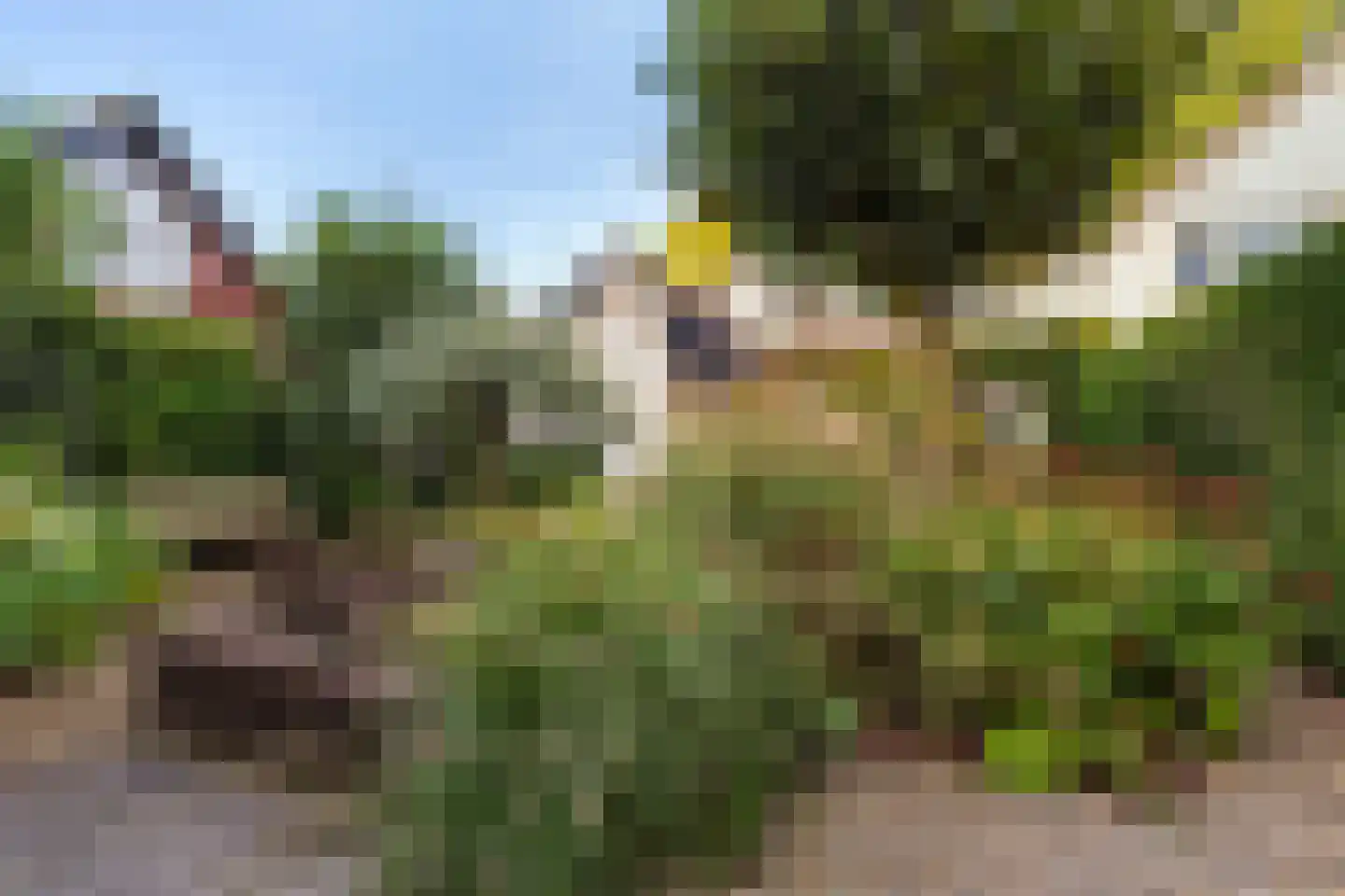 Gelreweg 49 A Ermelo thumbnail 68