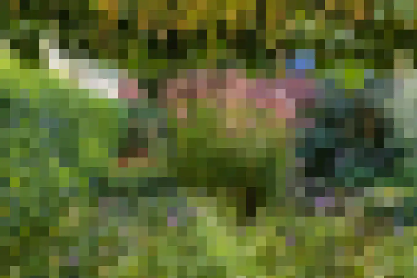 Gelreweg 49 A Ermelo thumbnail 69
