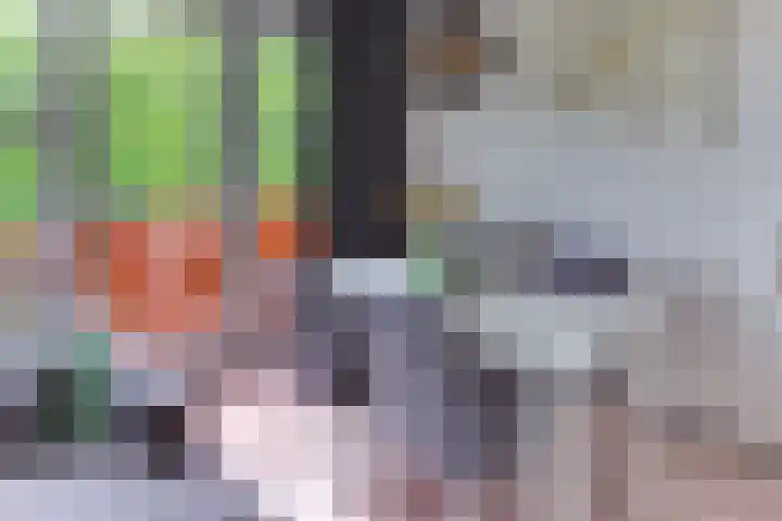 Gelreweg 83 Harderwijk thumbnail 8