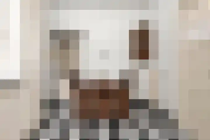 Gelria 2 Renkum thumbnail 20