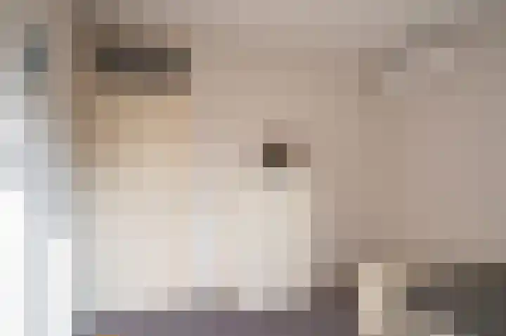 Geltinkweg 11 Keijenborg thumbnail 23