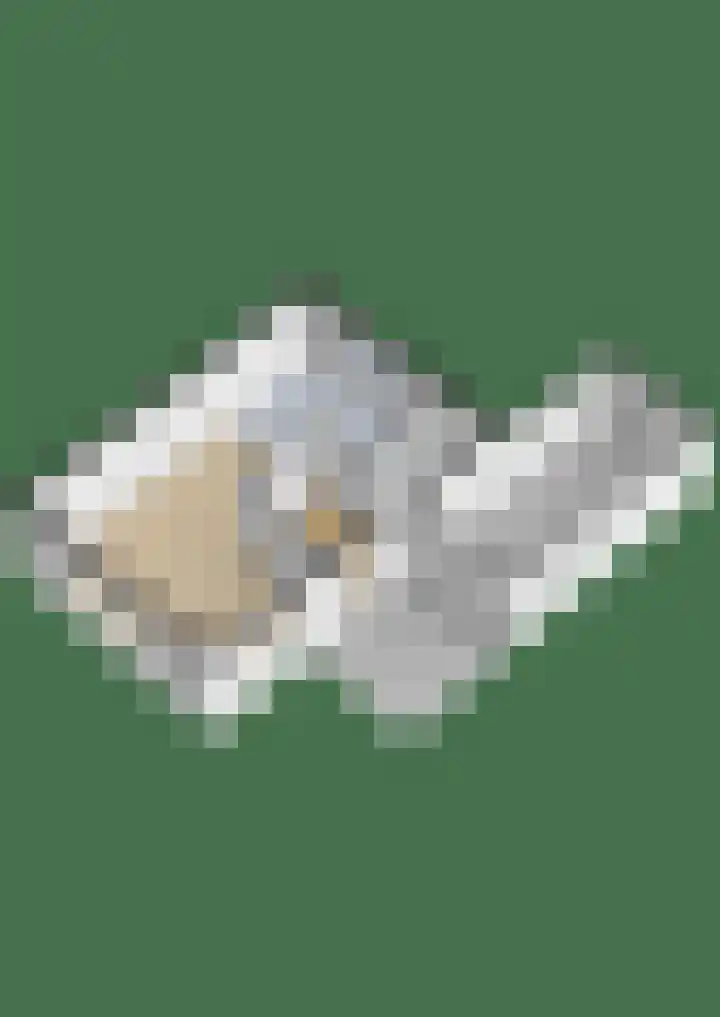 Geltinkweg 11 Keijenborg thumbnail 37