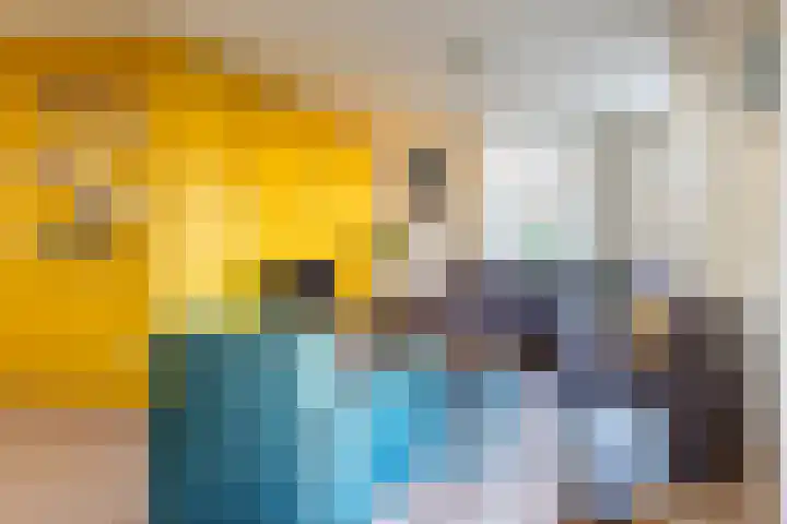 Geltinkweg 21 Keijenborg thumbnail 11