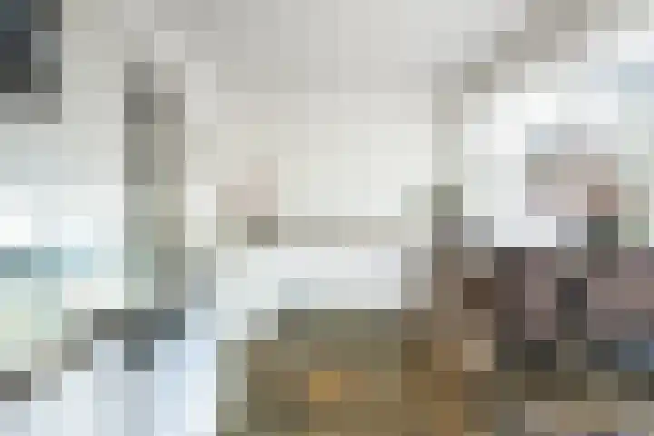 Geltinkweg 21 Keijenborg thumbnail 17