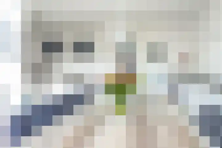 Geltinkweg 21 Keijenborg thumbnail 19