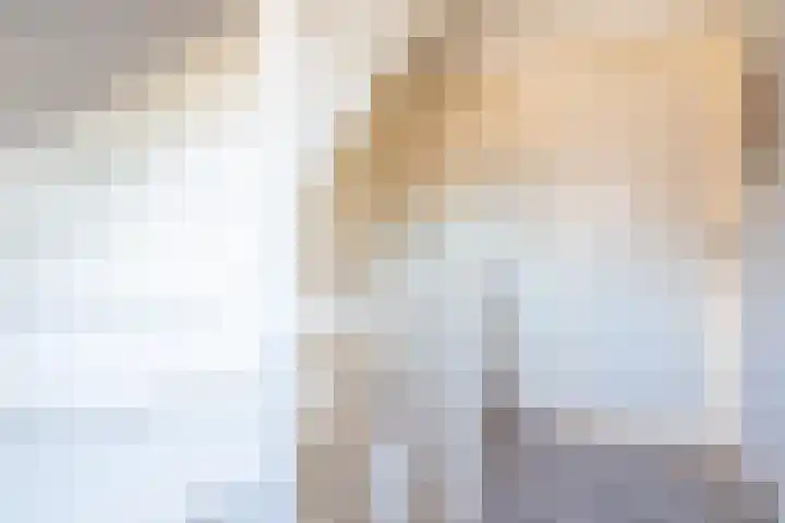 Geltinkweg 21 Keijenborg thumbnail 27