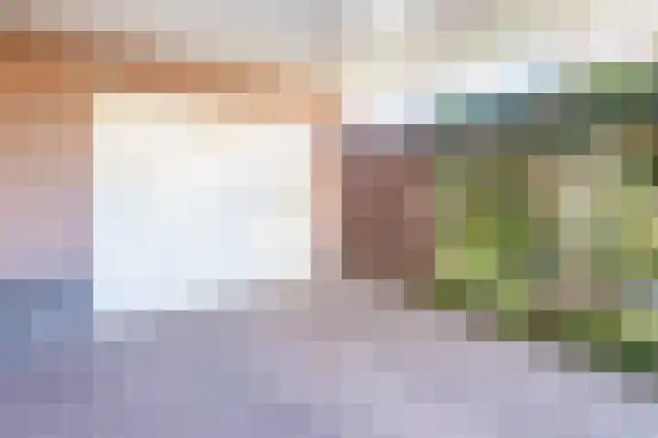 Geltinkweg 21 Keijenborg thumbnail 38