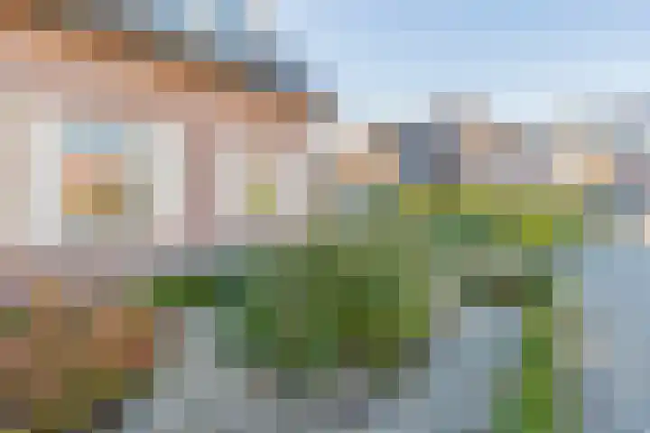 Geltinkweg 21 Keijenborg thumbnail 5