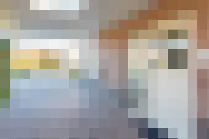 Geltinkweg 21 Keijenborg thumbnail 6