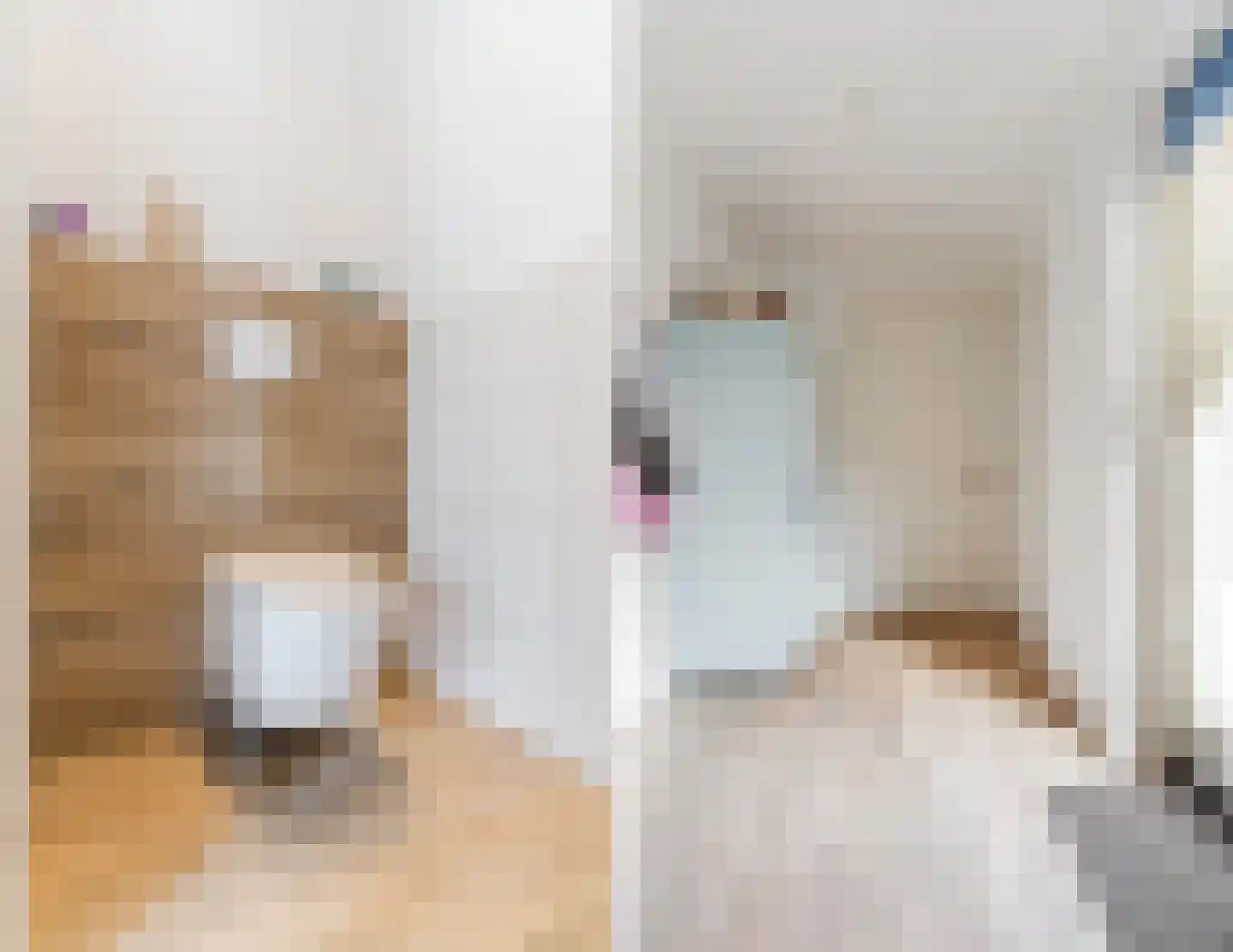 Geluckweg 6 Erp thumbnail 18