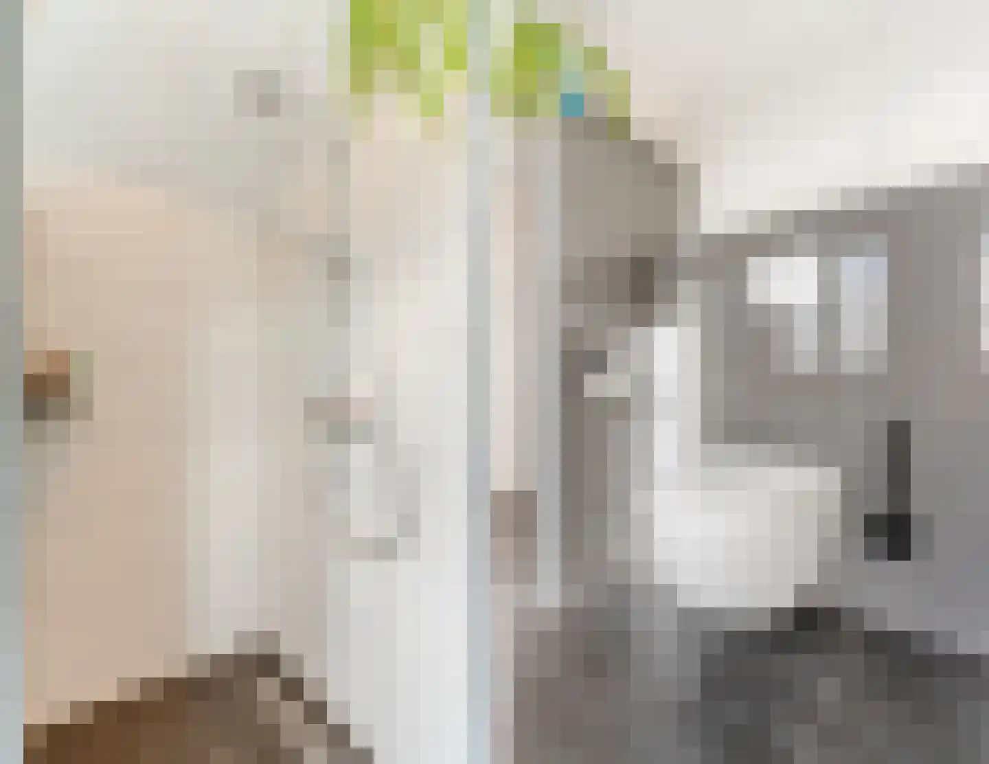 Geluckweg 6 Erp thumbnail 27