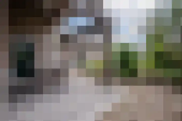 Geluckweg 8 Erp thumbnail 33