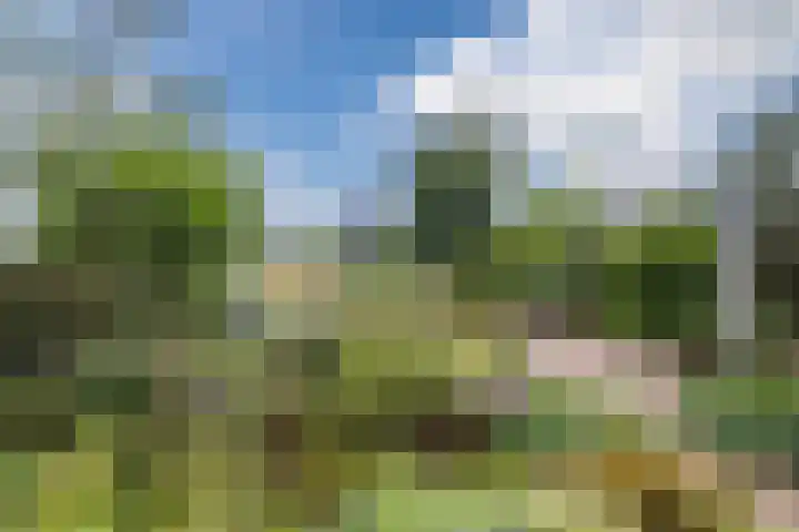 Geluckweg 8 Erp thumbnail 40