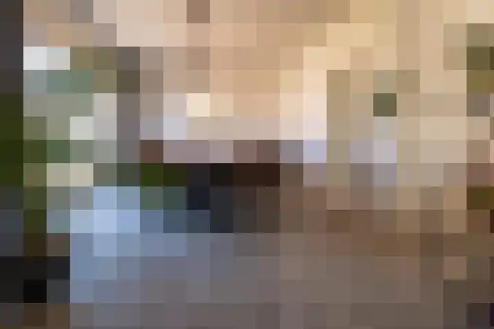 Geluklaan 18 Roden thumbnail 11