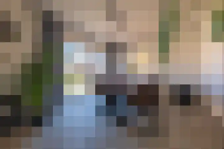 Geluklaan 18 Roden thumbnail 12