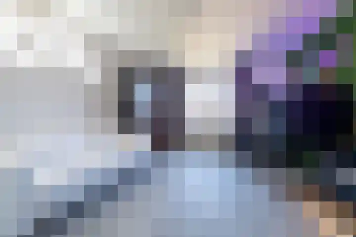 Geluklaan 18 Roden thumbnail 17