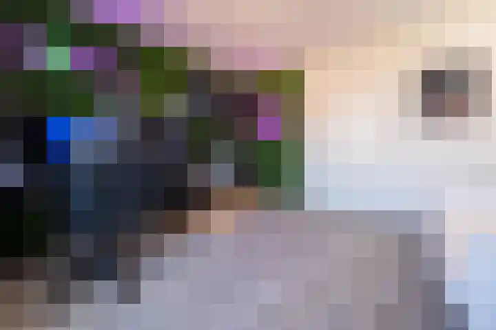 Geluklaan 18 Roden thumbnail 19