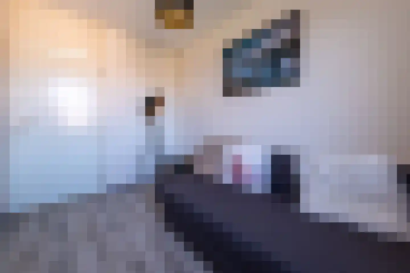 Geluklaan 18 Roden thumbnail 21