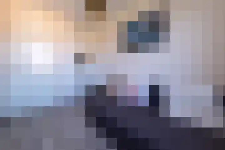 Geluklaan 18 Roden thumbnail 21