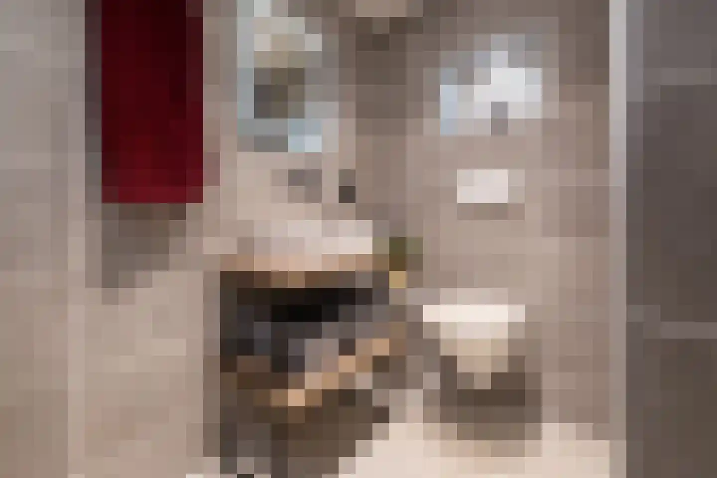 Geluklaan 18 Roden thumbnail 24