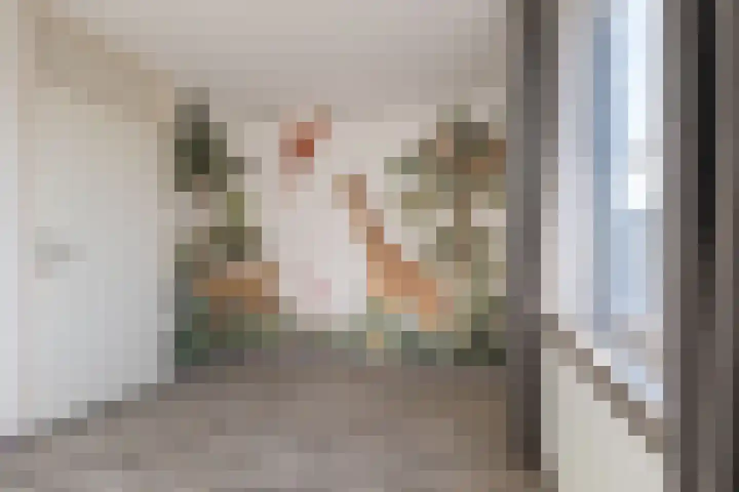 Geluklaan 18 Roden thumbnail 26