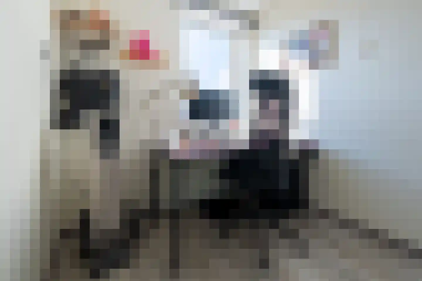 Geluklaan 18 Roden thumbnail 29