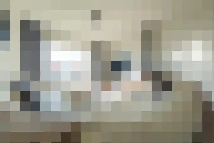 Geluklaan 18 Roden foto 3