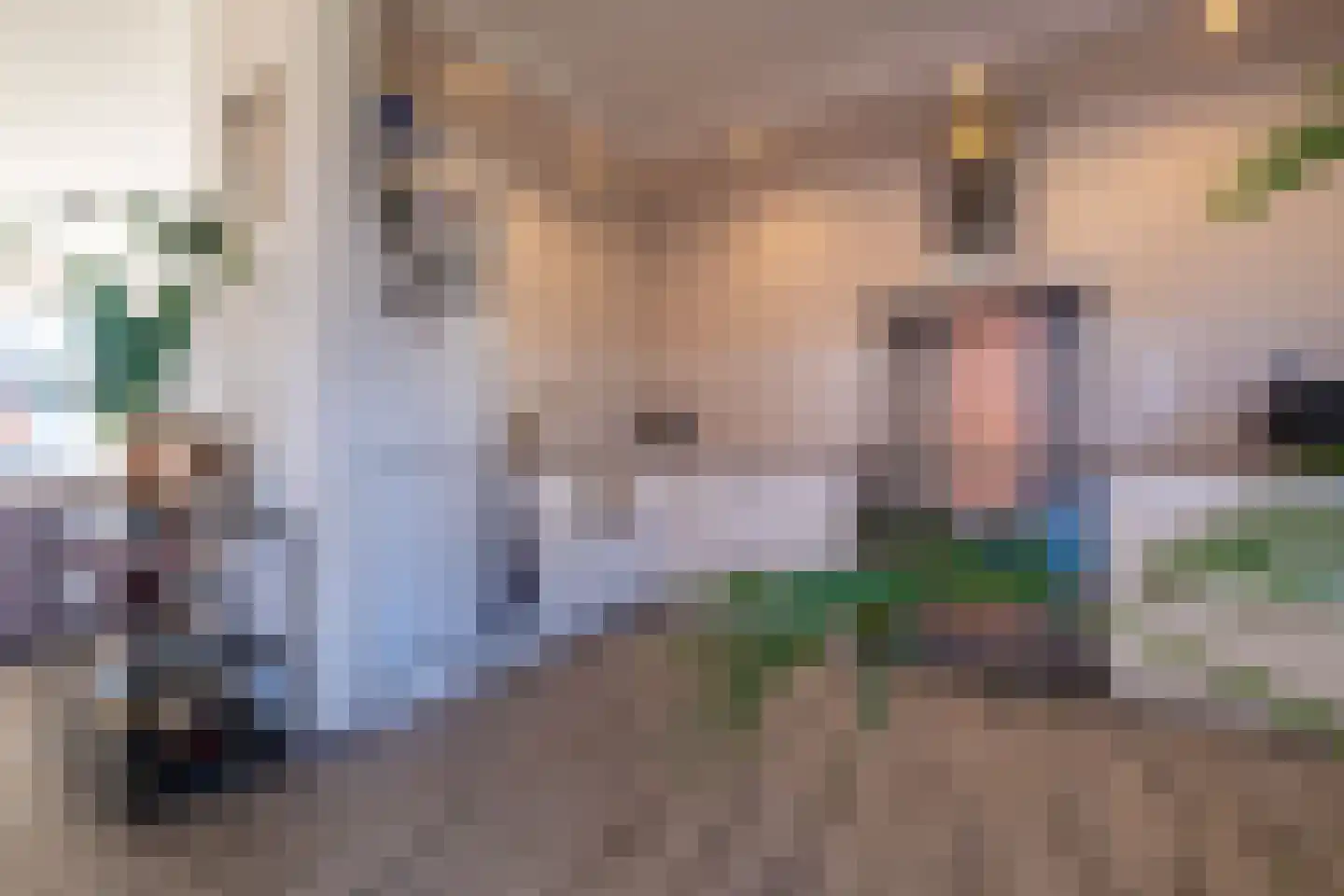 Geluklaan 18 Roden thumbnail 8