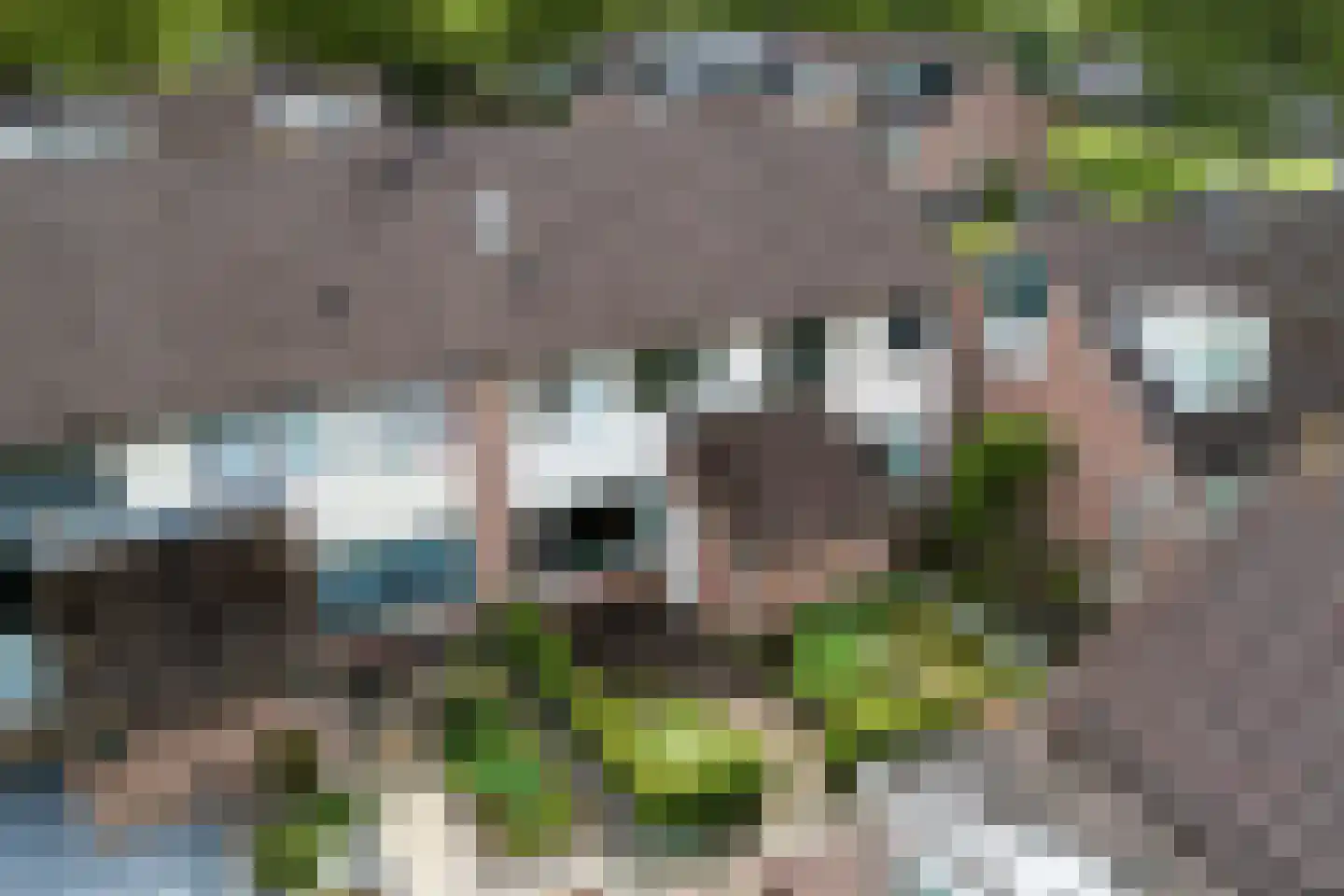 Gemaal 102 Grootebroek thumbnail 37