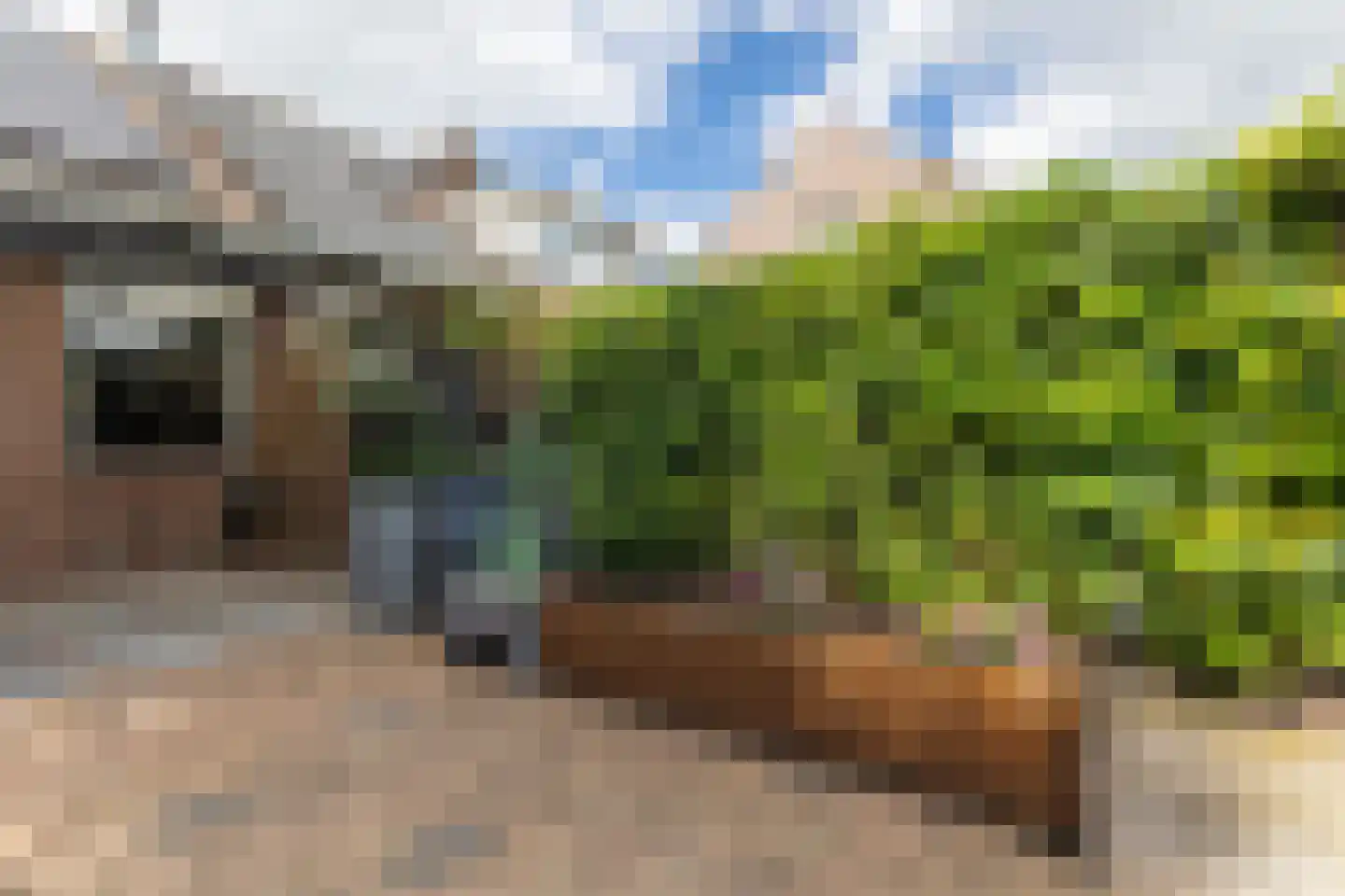 Gemaal 110 Grootebroek thumbnail 49